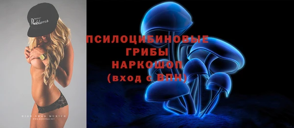 сатива Киренск