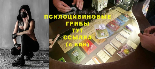 спиды Киреевск
